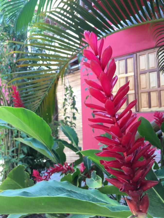 Hibisco 度假居 Itacaré