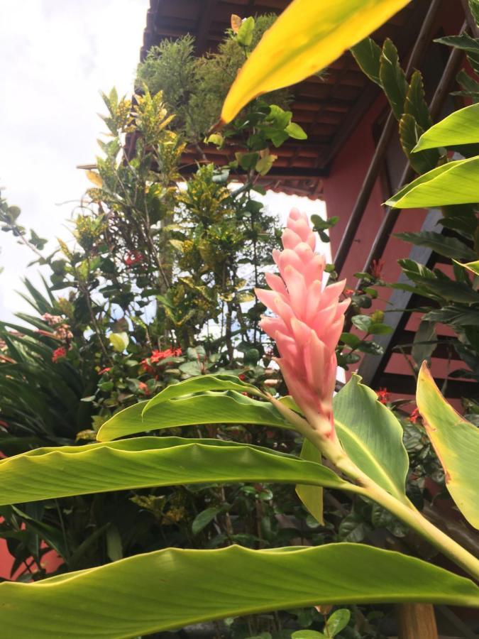 Hibisco 度假居 *