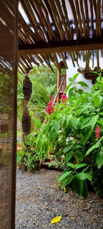 度假居 Hibisco Itacaré